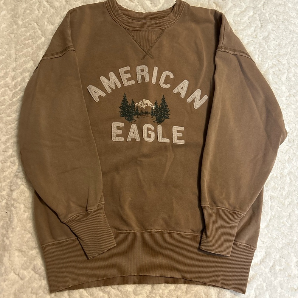American Eagle Outfitters Brown Men's Sweater
